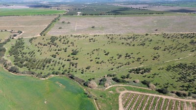/international/pt/aljustrel-beja-310109172712/