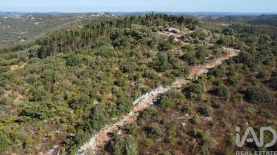 /international/pt/santarem-santarem-310101273965/