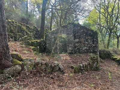 /international/pt/braga-braga-310109014760/