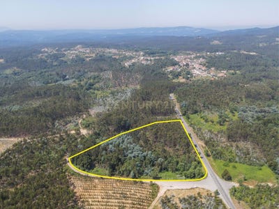 /international/pt/poiares-santo-andre-coimbra-120091025287/