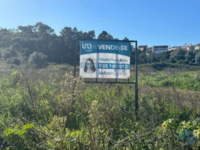 /international/pt/olho-marinho-leiria-310101187894/?lang=zh-cn