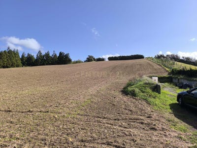 /international/pt/ilha-de-sao-miguel-azores-310099251326/