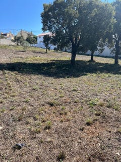 /international/pt/moita-redonda-fatima-portugal-fatima-santarem-310107468651/