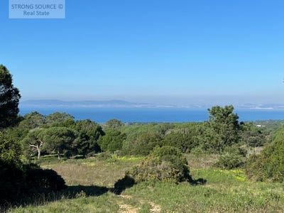 /international/pt/sesimbra-castelo-setubal-municipality-310100932691/