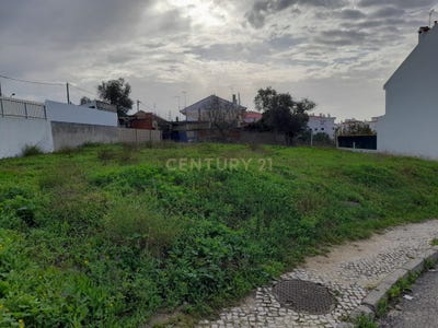 /international/pt/laranjeiro-e-feijo-setubal-municipality-310099808967/