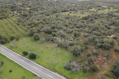 /international/pt/silves-faro-310109071695/?lang=it