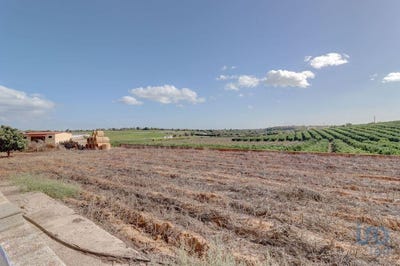 /international/pt/quelfes-faro-310101187965/?lang=zh-cn