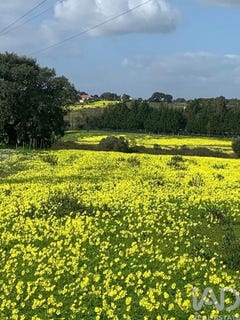 /international/pt/palmela-setubal-municipality-310106243573/