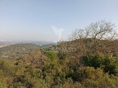 /international/pt/sao-francisco-da-serra-santiago-do-cacem-setubal-municipality-310103552982/