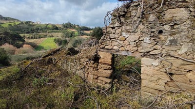 /international/pt/carvalhal-benfeito-leiria-310098105373/