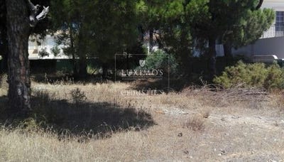 /international/pt/almancil-faro-120086454434/