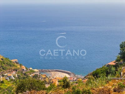 /international/pt/calheta-madeira-310108401518/