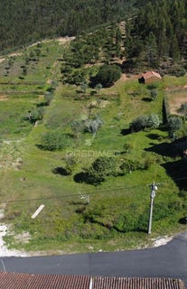 /international/pt/aldeia-do-mato-e-souto-abrantes-santarem-310103137431/