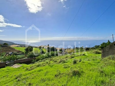 /international/pt/estreito-da-calheta-madeira-310104263403/