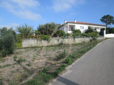 /international/pt/seica-coimbra-310106409217/