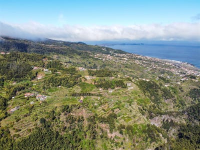 /international/pt/gaula-madeira-310107600865/