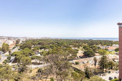 /international/pt/rua-francisco-ribeiro-1-2825-485-portugal-costa-da-caparica-setubal-municipality-310108590918/