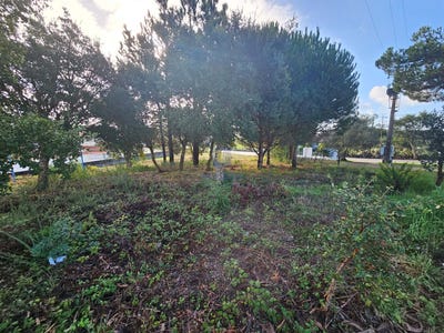 /international/pt/nadadouro-leiria-310106541494/