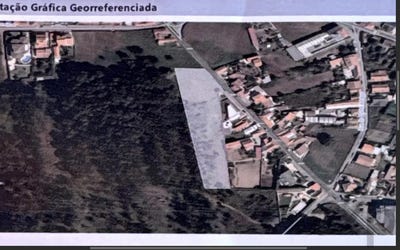 /international/pt/espinho-castelo-branco-310104100550/