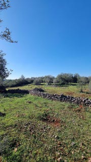 /international/pt/mouricao-sao-bartolomeu-de-messines-faro-310103800468/