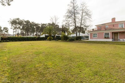 /international/pt/corroios-setubal-municipality-310108330295/