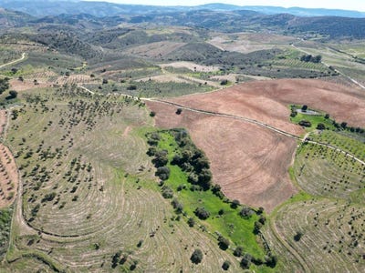 /international/pt/alfandega-da-fe-portugal-alfandega-da-fe-braganca-310105771430/