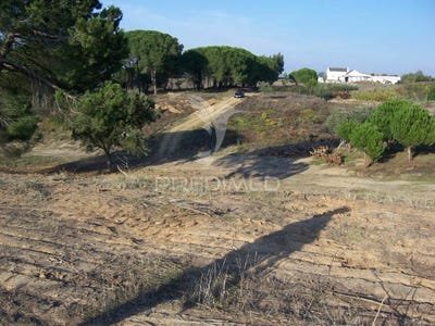 /international/pt/aveiras-de-cima-azambuja-lisbon-310095141553/