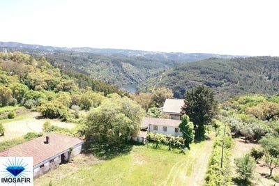 /international/pt/pedrogao-grande-leiria-310099529060/
