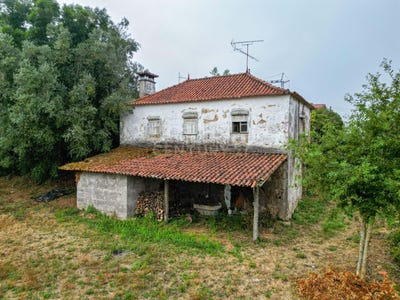 /international/pt/cossourado-braga-310101321810/?lang=zh-cn