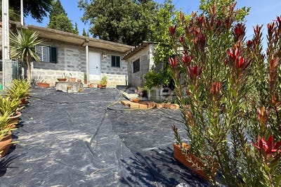 /international/pt/vila-nova-de-famalicao-braga-310101158945/?lang=zh-tw