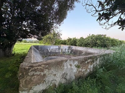 /international/pt/estoi-faro-310107268812/