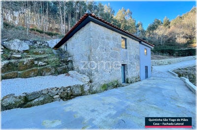 /international/pt/cinfaes-viseu-310108455907/