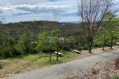 /international/pt/valongo-braganca-120060886313/