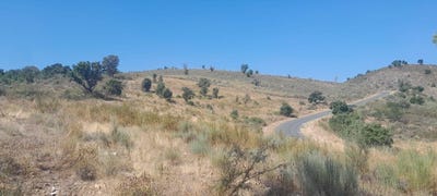 /international/pt/mirandela-braganca-310100662005/
