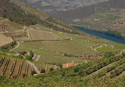 /international/pt/rua-fonte-nova-ervedosa-do-douro-viseu-310102966166/