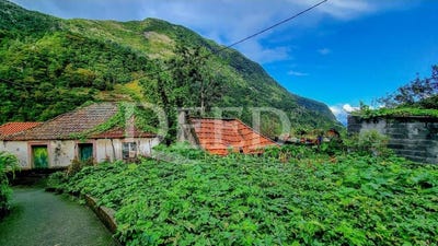 /international/pt/boa-ventura-madeira-310104315859/