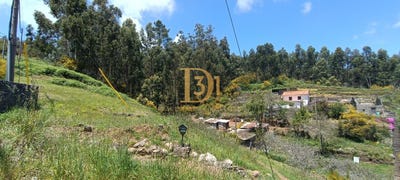 /international/pt/santa-cruz-madeira-310094536326/