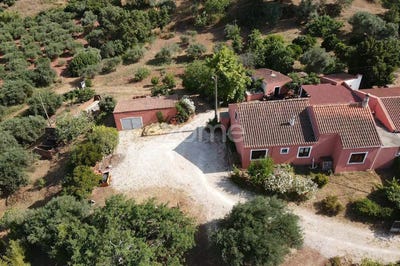 /international/pt/loule-faro-310100784378/