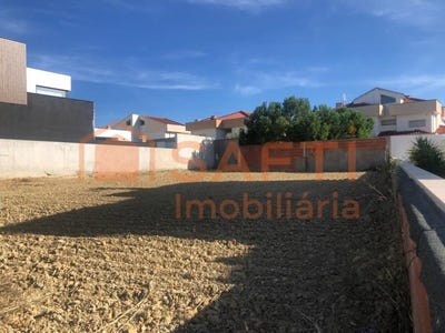 /international/pt/meia-via-santarem-310100484466/