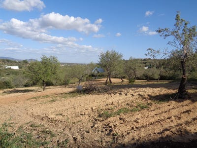 /international/pt/loule-faro-310108283251/
