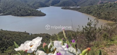 /international/pt/faro-silves-sao-marcos-da-serra-portugal-silves-faro-310107524236/