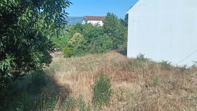 /international/pt/mondim-de-basto-vila-real-310101227621/?lang=zh-cn
