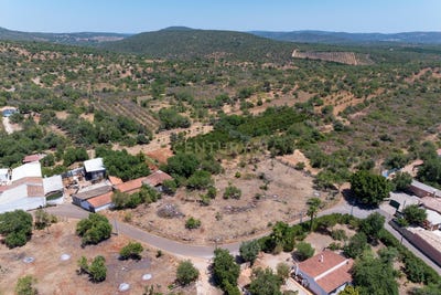 /international/pt/alte-faro-310101226007/?lang=zh-tw