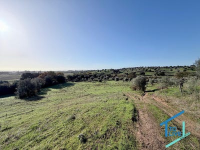 /international/pt/torres-novas-santarem-310105338524/