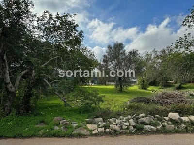 /international/pt/sao-bras-de-alportel-faro-310098769771/