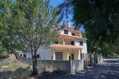 /international/pt/constancia-santarem-310100670473/