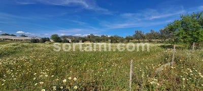 /international/pt/faro-faro-120090072421/