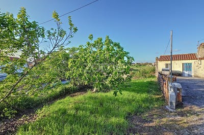 /international/pt/figueira-da-foz-braganca-310099054282/