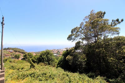 /international/pt/canico-madeira-120084712955/