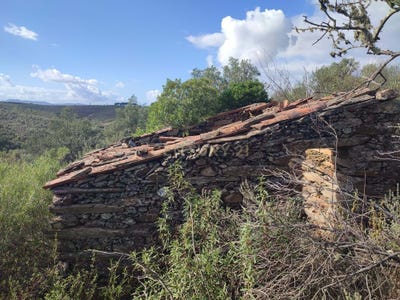 /international/pt/zambujeiro-do-tejo-perais-castelo-branco-310105230502/